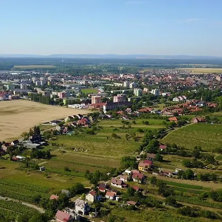 Panorama - Luxurious Equipped Modern Spacious Vila Skalica